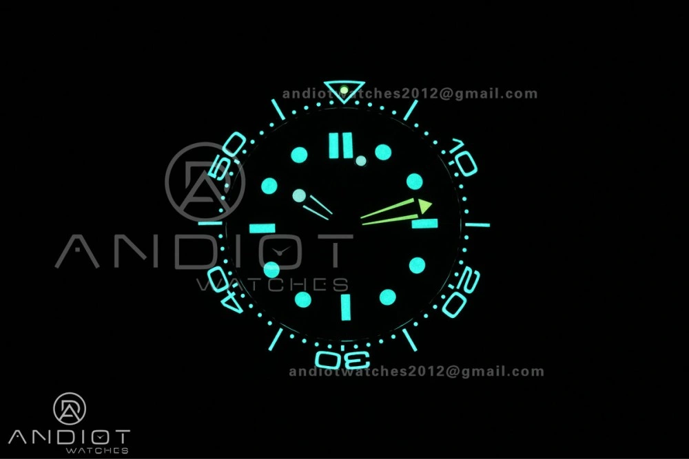 GoAnywhere Seamaster 300 