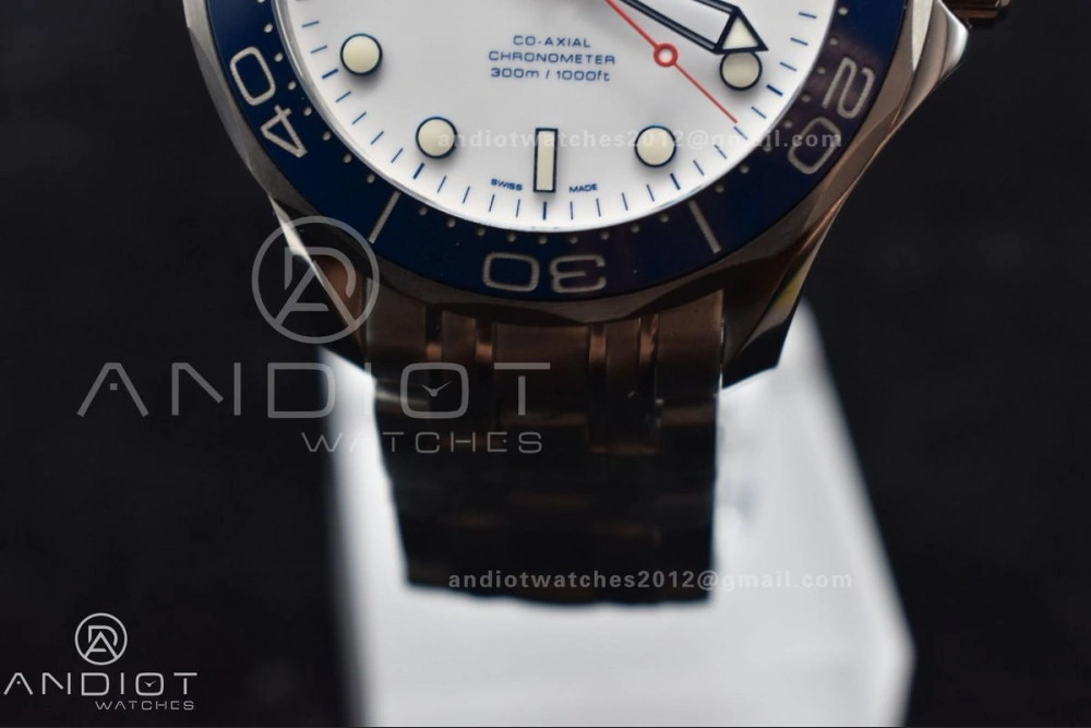 Refined Seamaster Diver 300M SS 
