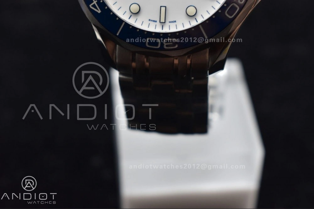 Refined Seamaster Diver 300M SS 