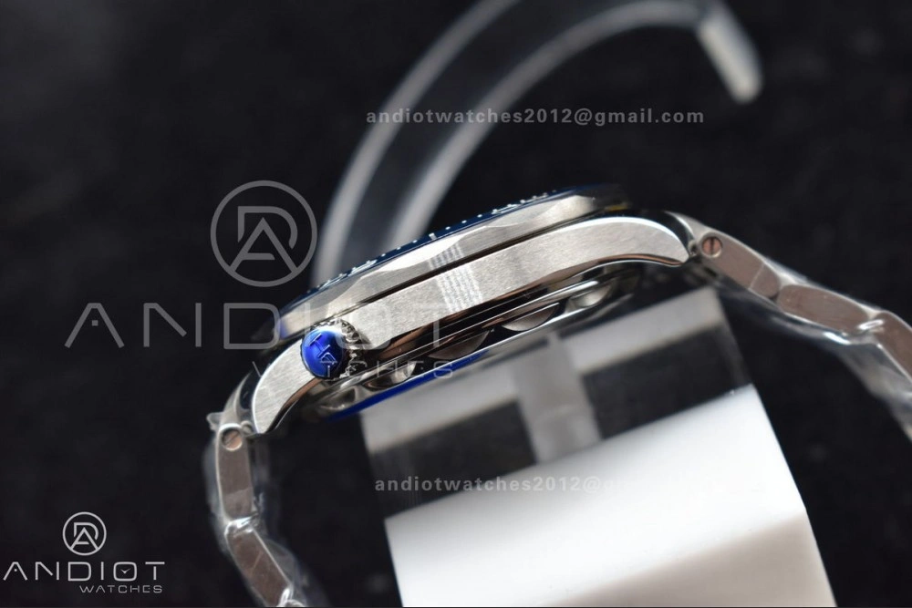Refined Seamaster Diver 300M SS 